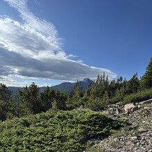 Harlan Grossman - Trans-RMNP Marathon
