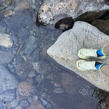 Alexandria Leveille - Owl's Head (NH)