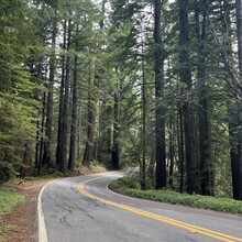 Mike Fasoline - Palo Alto to Santa Cruz