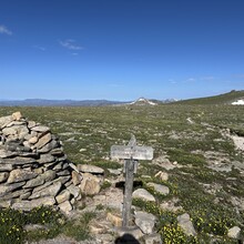 Harlan Grossman - Trans-RMNP Marathon