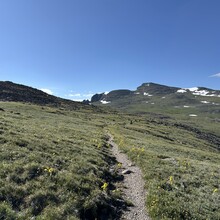 Harlan Grossman - Trans-RMNP Marathon