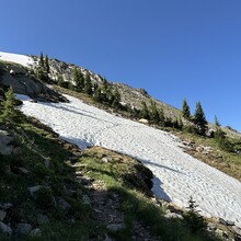 Harlan Grossman - Trans-RMNP Marathon