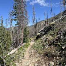 Harlan Grossman - Trans-RMNP Marathon