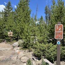 Harlan Grossman - Trans-RMNP Marathon