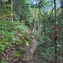 Alexandria Leveille - Owl's Head (NH)