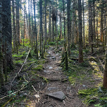 Alexandria Leveille - Owl's Head (NH)