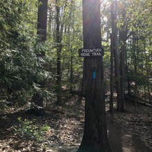 Marcy Cabanas - Pocumtuck Ridge Trail (MA)