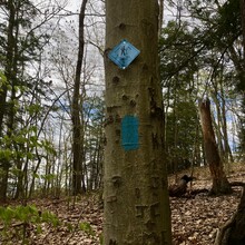 Marcy Cabanas - Pocumtuck Ridge Trail (MA)