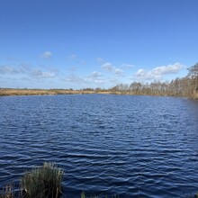 Rutger Wagenaar - Noardlike Fryske Wâlden (Netherlands)