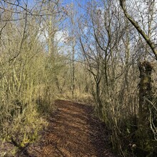 Rutger Wagenaar - Noardlike Fryske Wâlden (Netherlands)