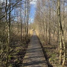 Rutger Wagenaar - Noardlike Fryske Wâlden (Netherlands)