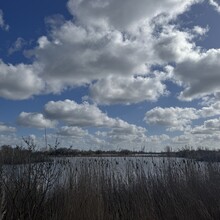 Rutger Wagenaar - Noardlike Fryske Wâlden (Netherlands)