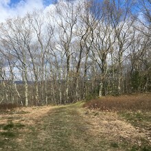 Marcy Cabanas - Pocumtuck Ridge Trail (MA)