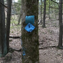 Marcy Cabanas - Pocumtuck Ridge Trail (MA)