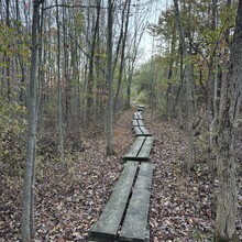 Debbie McElwaine - NY Appalachian Trail (NY)