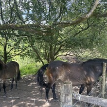 Callum Bayliss - West Pennine Way (United Kingdom)