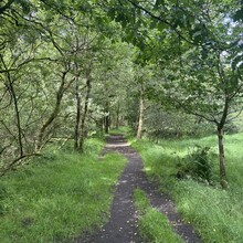 Callum Bayliss - West Pennine Way (United Kingdom)