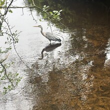 Callum Bayliss - West Pennine Way (United Kingdom)