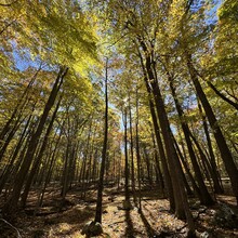 Debbie McElwaine - NY Appalachian Trail (NY)