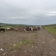 Callum Bayliss - West Pennine Way (United Kingdom)