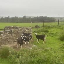 Callum Bayliss - West Pennine Way (United Kingdom)