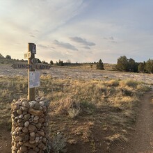 Harlan Grossman - Schoolyard - Lunch Lady (WY)