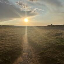Harlan Grossman - Schoolyard - Lunch Lady (WY)