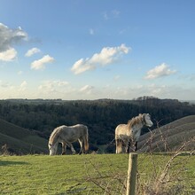 Matt Britton - John Bunyan Trail (United Kingdom)