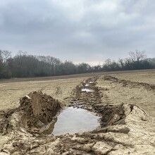 Karen Bennett - Canterbury Outer Ring (United Kingdom)