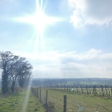 Karen Bennett - Canterbury Outer Ring (United Kingdom)