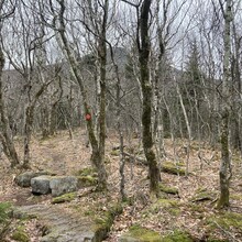 Matthew Matta - Slide Mountain - from sea level (NY)