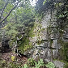 Cali Janulis - Catskill 9 (NY)