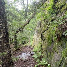 Cali Janulis - Catskill 9 (NY)