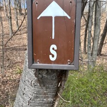 Justin Lewandowski - NJ Appalachian Trail (NJ)