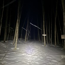 Joe Palisi - Cranberry Lake 50 (NY)