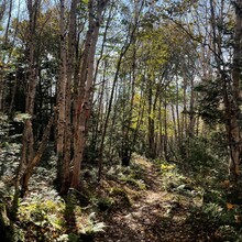 Shannon Corliss - Marston Trail Loop (Baxter State Park, ME)