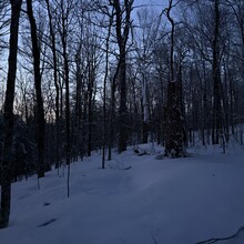 Joe Palisi - Cranberry Lake 50 (NY)