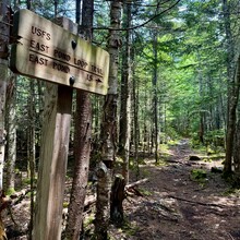 Craig Leaman - Livermore Loop (NH)