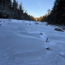 Joe Palisi - Cranberry Lake 50 (NY)