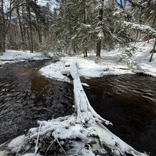 Joe Palisi - Cranberry Lake 50 (NY)