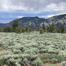 Emilee Walker, Sarah McCloskey - Great Basin NP Traverse (NV)