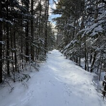 Joe Palisi - Cranberry Lake 50 (NY)