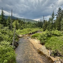 Craig Leaman - Livermore Loop (NH)