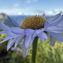 Nick Fowler - Pacific Crest Trail (CA, OR, WA)