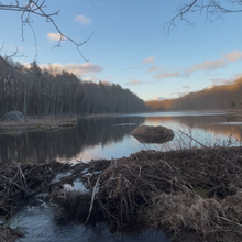 Justin Lewandowski - NJ Appalachian Trail (NJ)