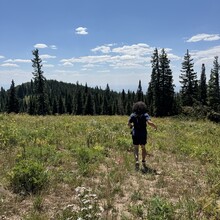 Courtney Clifton, Andrew Pontbriand - Black Mountain Loop (CO)