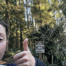 Clara froeschner - Tiger Mountain Trail (WA)