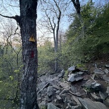 Cassidy Carroll - Wachusett Mtn (MA)