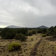 Carrie Henderson - Flagstaff AZT Loop (AZ)