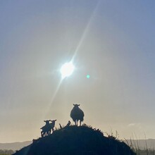 Francois Low - Winchcombe Way